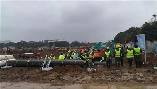 Stake(�й���)�ٷ���վ