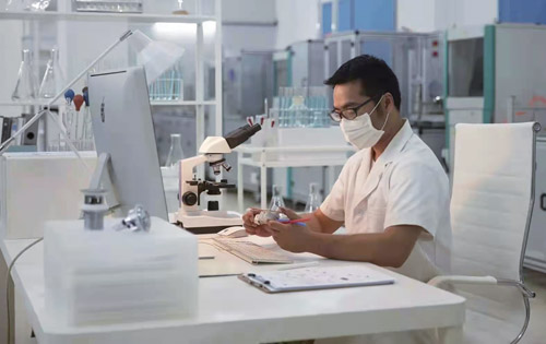 Stake(�й���)�ٷ���վ