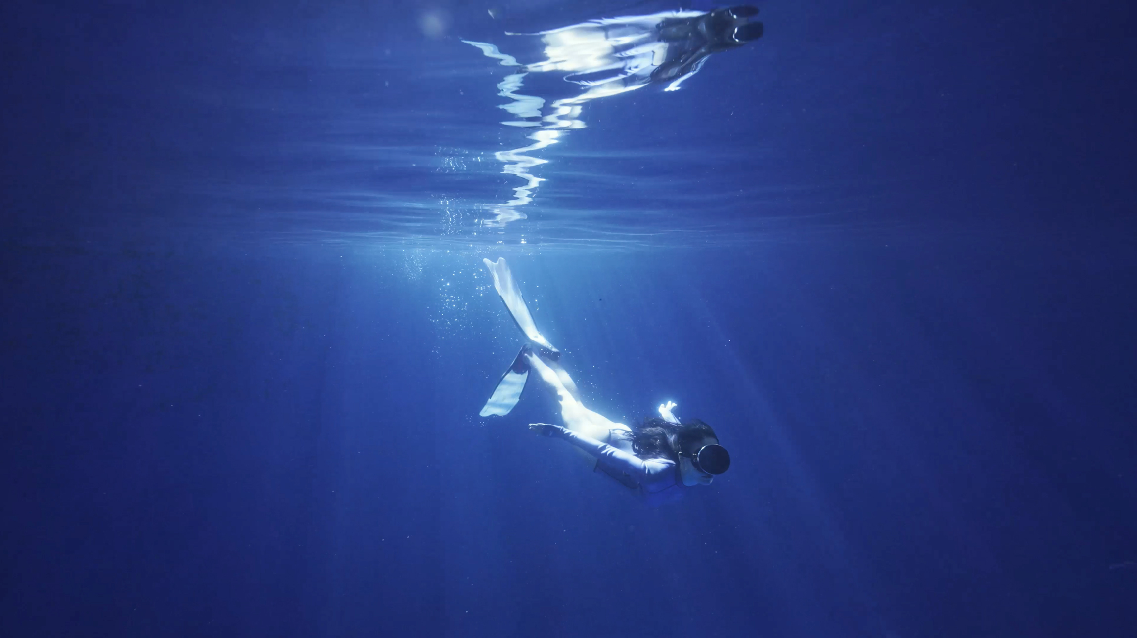 Stake(�й���)�ٷ���վ